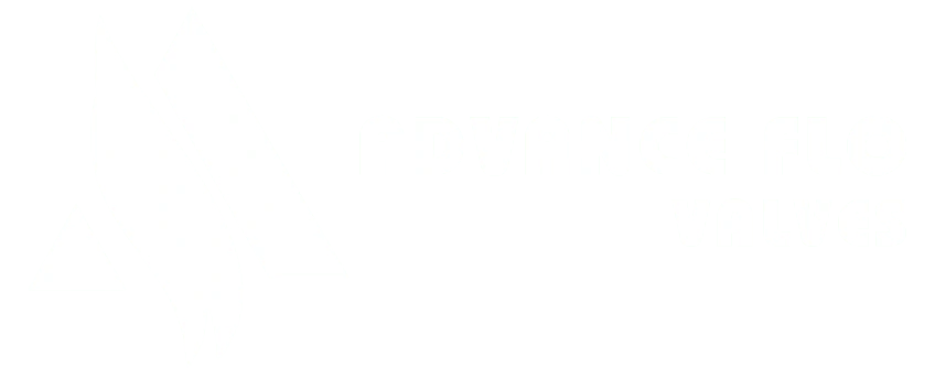 Advance Flow Logo